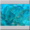 d016.jpg